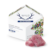 Huckleberry Gummies | 10pc 100mg (THC)
