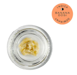 #28 Banana Dosi -Indica- 69% THC | Solventless Cold-Cure Rosin Jar, 1g (Concentrates) | Hudson Cannabis      -bf4 Refrigerator