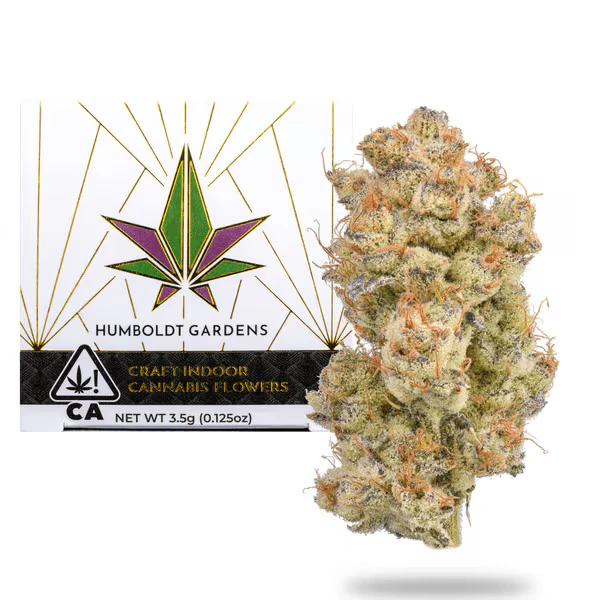 Humboldt Gardens - Humboldt Gardens | Mimosa x GMO | 3.5g Main Image