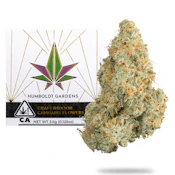 Humboldt Gardens | Northern Lights x Chemdog | 3.5g