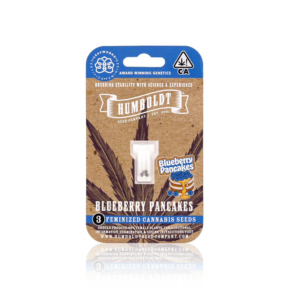 Humboldt Seed Company - HUMBOLDT SEED COMPANY - Seeds - Blueberry Pancakes - 3 Pack Main Image