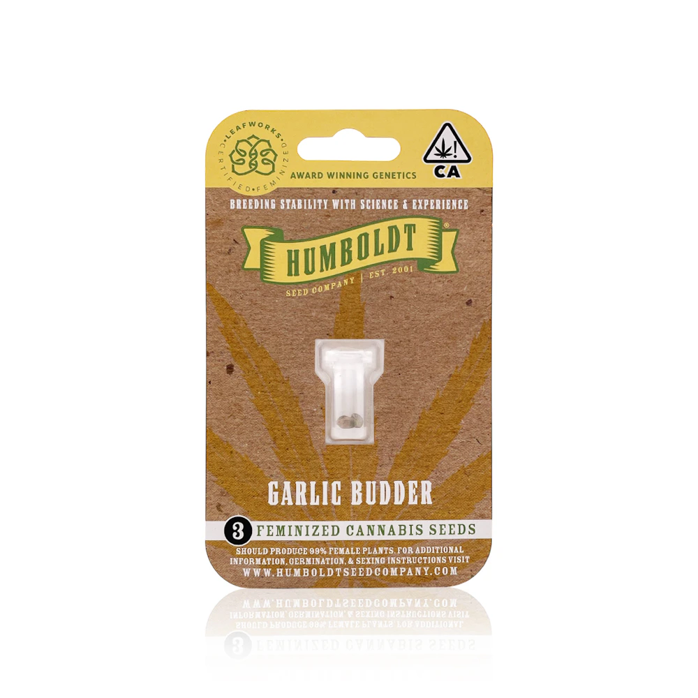 Humboldt Seed Company - HUMBOLDT SEED COMPANY - Flower - Garlic Budder - 3Pack - Feminized Main Image