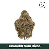 Curaleaf Whole Flower 14g Humboldt Sour Diesel (S) 00951