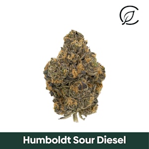CURALEAF - Curaleaf Whole Flower 14g Humboldt Sour Diesel (S) 00951