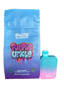 HUSH - Hush - Disposable - Purple Urkle - 1G