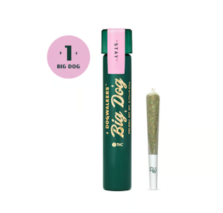 DOGWALKERS - Runtz S1 Big Dog PreRoll - 0.75g