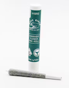 Modified Mints - Pre Roll - 1g - Wave Rider