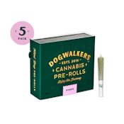 Dogwalkers 5 Pack Minis White Rainbow Guava (H) 01646