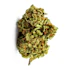 Product Preview Image 2