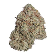 Pruf Cultivar Blank Check #4