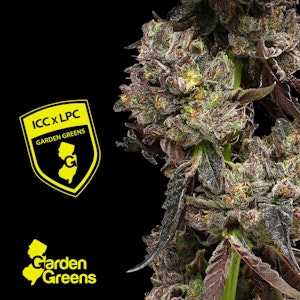 GARDEN GREENS - Garden Greens | ICC x LPC | 3.5g