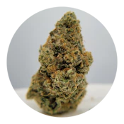 THC - ICC x Kush Mints Flower