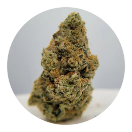 The Hempire Collective - THC - ICC x Kush Mints Flower Main Image