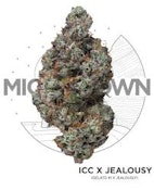 Bulk flower  |  Michigrown  |  Ice Cream Cake x Jealousy