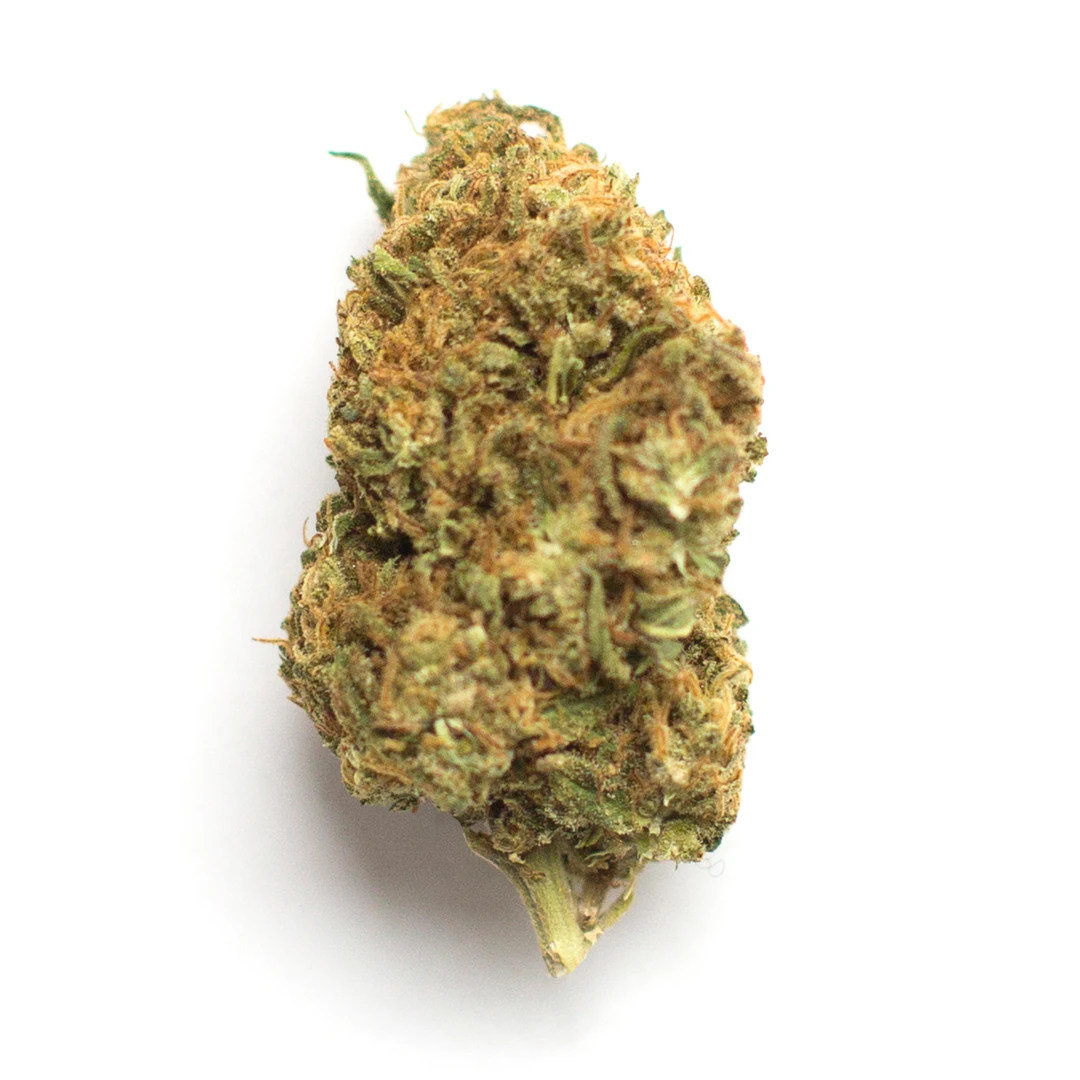 High Life Farms - MI - Ice Cream Cake- Buds Main Image