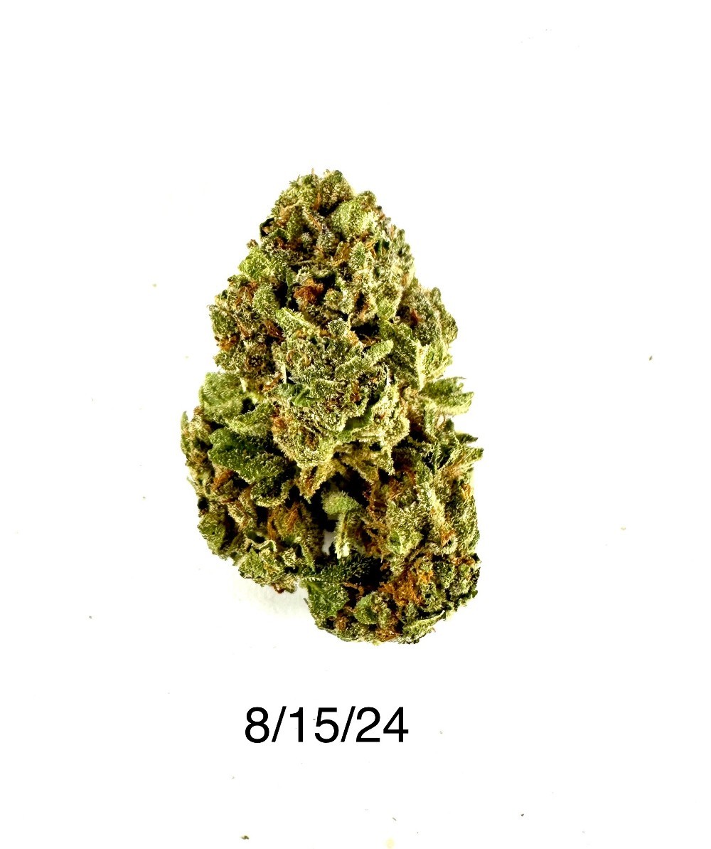 Icee Runtz flower