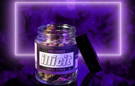 Illicit | GMO Cookies | 3.5g Flower