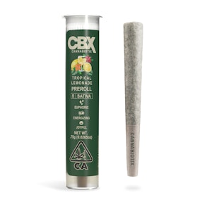 Next Day - Tropical Lemonade Preroll (0.75g)