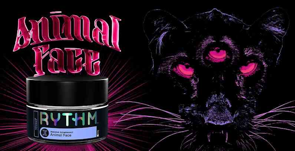 DOGWALKERS - [REC] Dogwalkers | Animal Face | 1.75g/5pk Prerolls