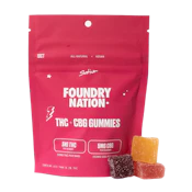 Gummies - Foundry Nation Assorted Flavors 5mg THC 5mg CBG