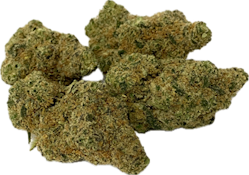 Pegasus - Cactus Breath (Hybrid)  Buds  - 1g