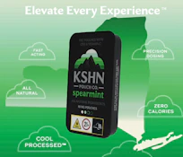 Spearmint - 100MG 10PK Pouches