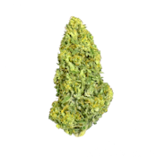 High Falls Canna "Killer Queen HV" Flower-3.5g