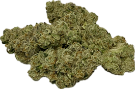 Redbud Roots - Whoa-Si-Whoa (I Hybrid) Buds - 1g