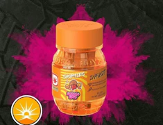 BODEGA BOYZ | Shorties | OJ Hi-C | 4 Pk .7G