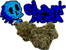 Plant Nerd - Candy Packz (Hybrid) Buds - 1g