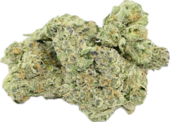 Primo Danks - Lemon Cherry Gelato (Hybrid) Buds - 1g