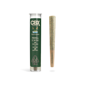 Next Day - Tropicanna Preroll (0.75g)