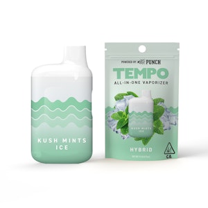 TEMPO - [TEMPO] All In One - 1g - Kush Mints Ice (H)