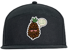 "It's Just the Terps Talking" 5 Panel Hat
