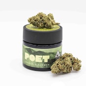 Delicata Cookies - 3.5g (H) - Poet