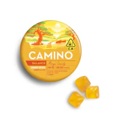Kiva | 10ct Camino Gummies | Mango 1:1 THC:CBD |100mg