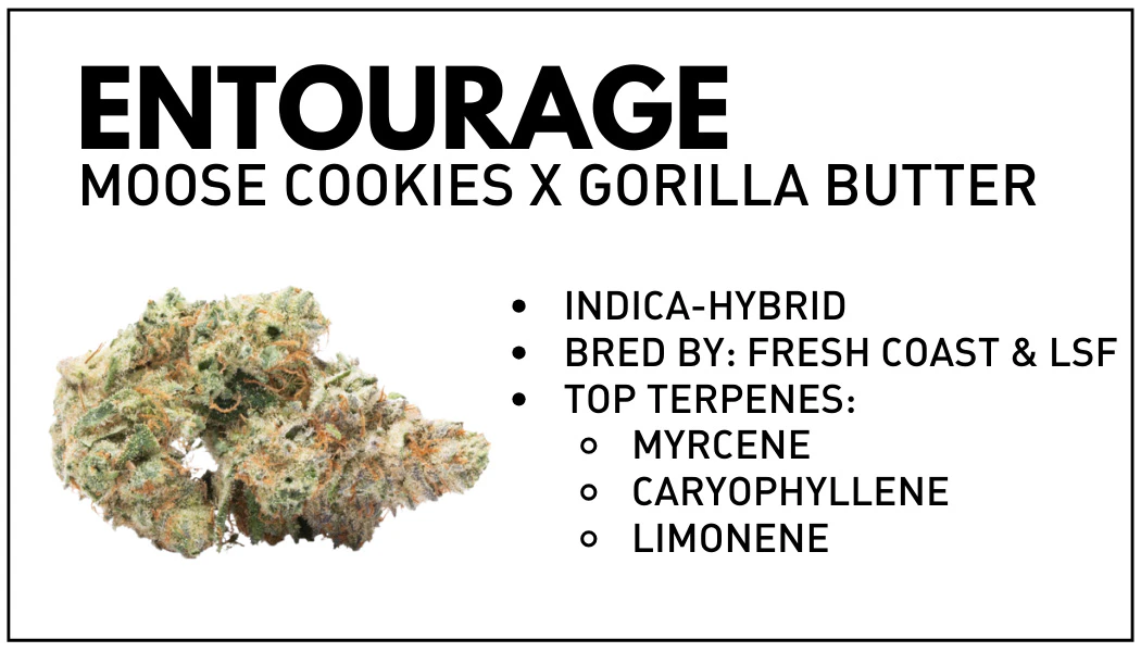 Light Sky Farms - LSF Entourage Buds (28grams/1oz) Main Image