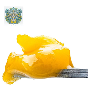 BEAR LABS - BEAR LABS | SOUR CRANBERRY BUDDER | EXTRACT | 1G