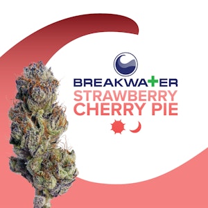Breakwater - Breakwater | Flower | Strawberry Cherry Pie | 3.5g