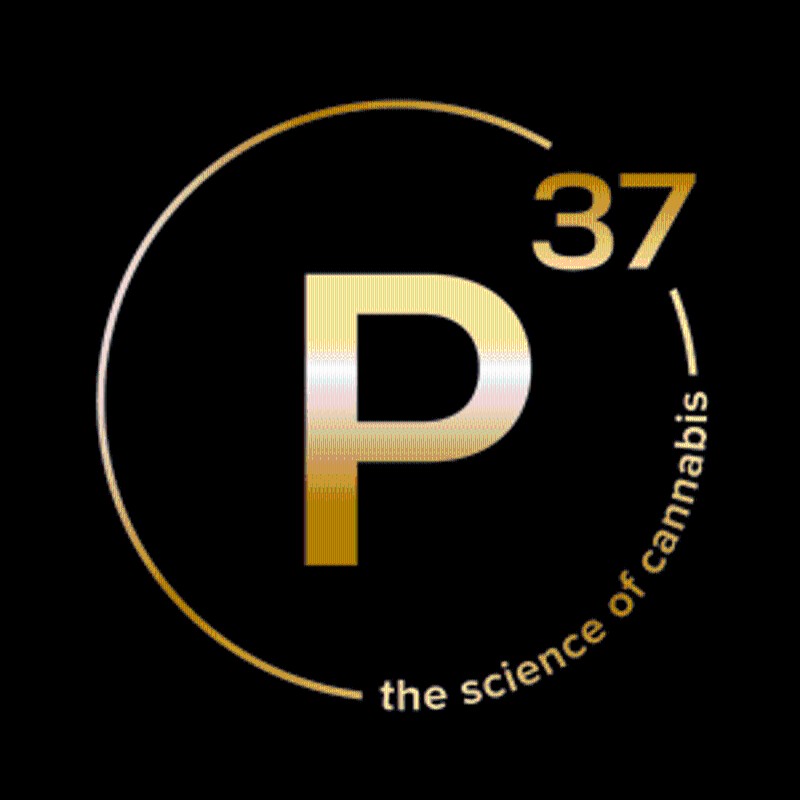 Prohibition 37 Live Hash Rosin · Wedding Pie