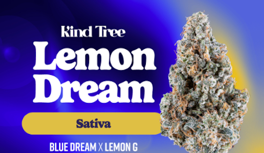 KIND TREE - Kind Tree | Lemon Dream | 3.5g