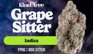 Kind Tree | Grape Sitter | 3.5g