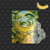 Seed Junky - Hybrid - Banana Fruz Indoor - (3.5g)