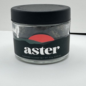 Aster NY - Aster NY | Rainbow Chipz | 3.5g Hybrid