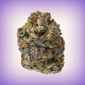 X| Dank | Gary Payton | Flower | 28g