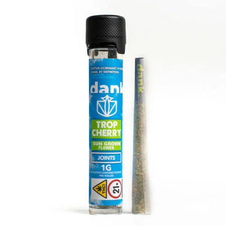 Dank By Definition - X| Dank | Trop Cherry | Sungrown | Preroll | 1g Main Image