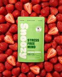 SNOOZY - X| Snoozy | Relief | Strawberry Stress Free Mind | Gummies | 5mg Main Image