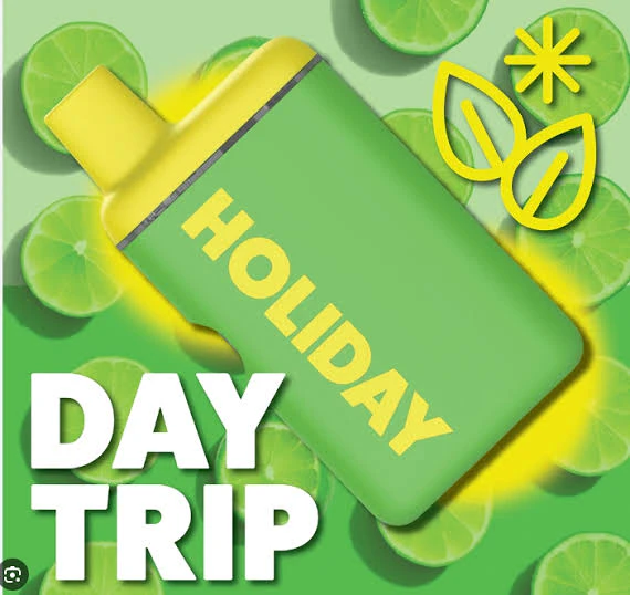 HOLIDAY - X| Holiday | Day Trip | All-in-One | 1g Main Image