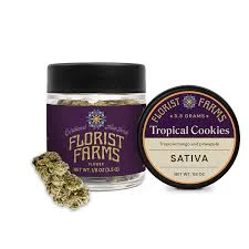 Florist Farms - X| Florist Farms | Tropicana Cookies | Flower | 3.5g Main Image