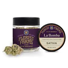 Florist Farms - X| Florist Farms | La Bomba | Flower | 3.5g Main Image
